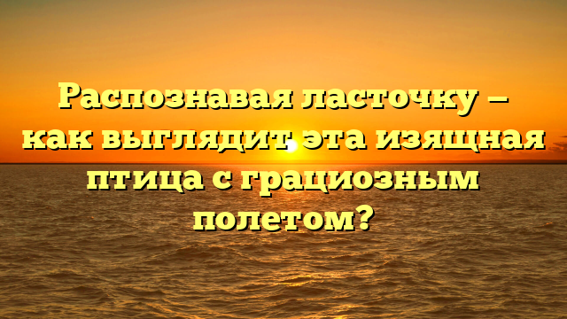 Распознавая ласточку — как выглядит эта изящная птица с грациозным полетом?