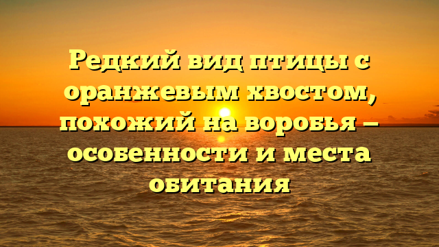 Редкий вид птицы с оранжевым хвостом, похожий на воробья — особенности и места обитания