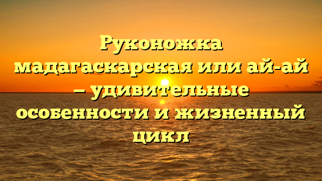 Руконожка мадагаскарская или ай-ай — удивительные особенности и жизненный цикл