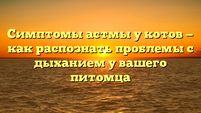 Симптомы астмы у котов — как распознать проблемы с дыханием у вашего питомца