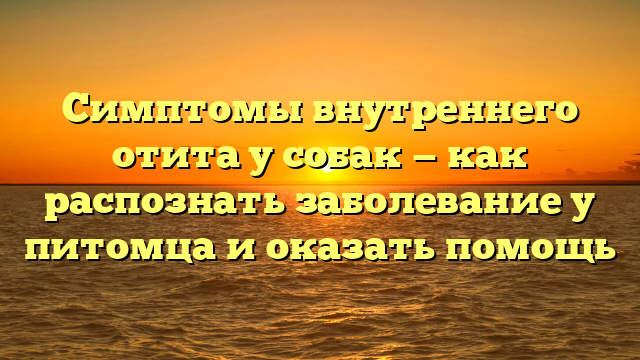 Симптомы внутреннего отита у собак — как распознать заболевание у питомца и оказать помощь