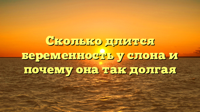 Сколько длится беременность у слона и почему она так долгая