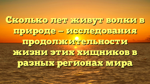 Сколько лет живут волки в природе — исследования продолжительности жизни этих хищников в разных регионах мира