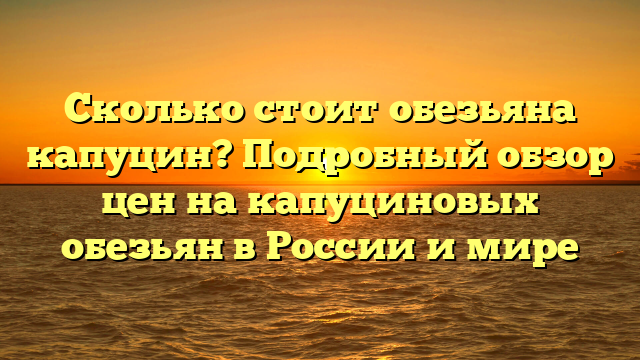 Сколько стоит обезьяна капуцин? Подробный обзор цен на капуциновых обезьян в России и мире