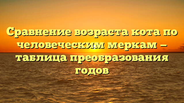 Сравнение возраста кота по человеческим меркам — таблица преобразования годов