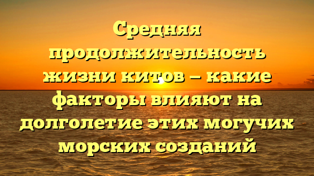 Средняя продолжительность жизни китов — какие факторы влияют на долголетие этих могучих морских созданий