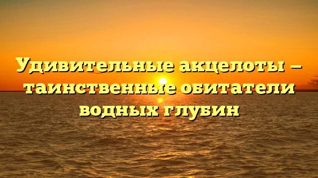 Удивительные акцелоты — таинственные обитатели водных глубин