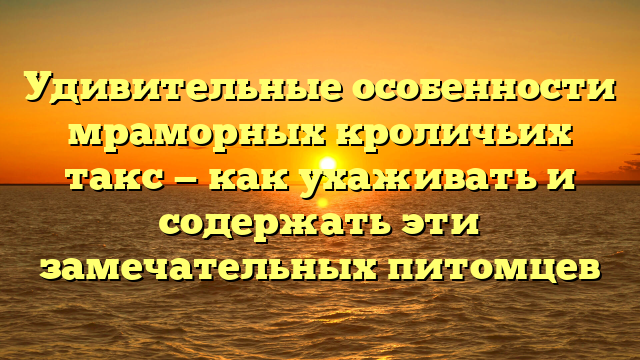 Удивительные особенности мраморных кроличьих такс — как ухаживать и содержать эти замечательных питомцев