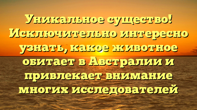 Уникальное существо! Исключительно интересно узнать, какое животное обитает в Австралии и привлекает внимание многих исследователей
