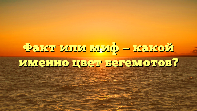 Факт или миф — какой именно цвет бегемотов?