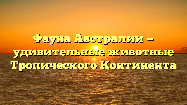 Фауна Австралии — удивительные животные Тропического Континента