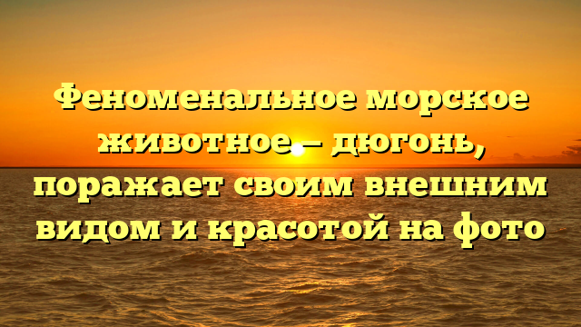 Феноменальное морское животное — дюгонь, поражает своим внешним видом и красотой на фото