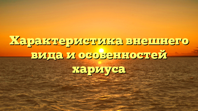 Характеристика внешнего вида и особенностей хариуса