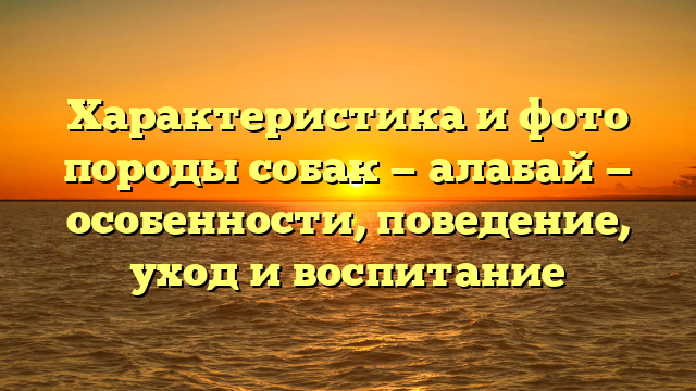 Характеристика и фото породы собак — алабай — особенности, поведение, уход и воспитание