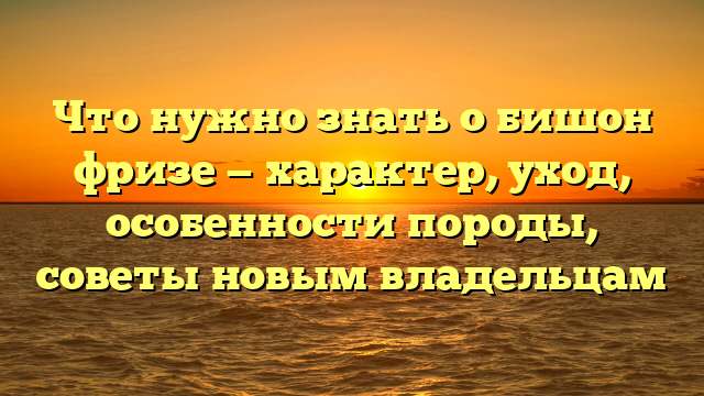 Что нужно знать о бишон фризе — характер, уход, особенности породы, советы новым владельцам