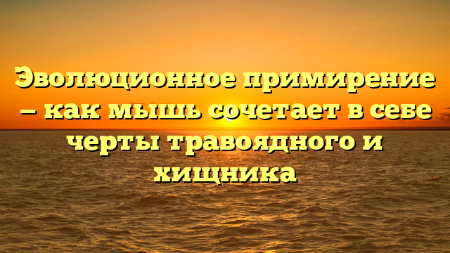 Эволюционное примирение — как мышь сочетает в себе черты травоядного и хищника
