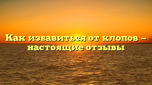 Как избавиться от клопов — настоящие отзывы