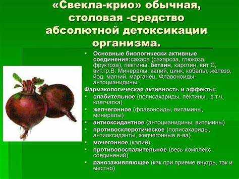 Можно ли улиткам давать свеклу и в каких количествах