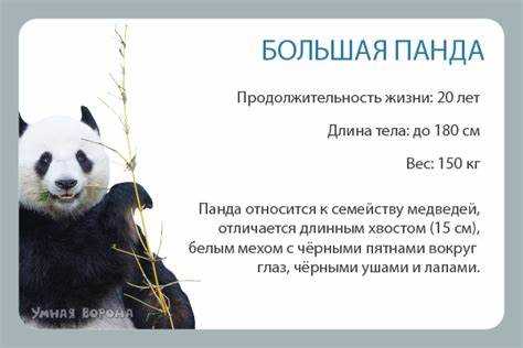 С помощью энциклопедии подготовить сообщение об одном из животных международной красной книги